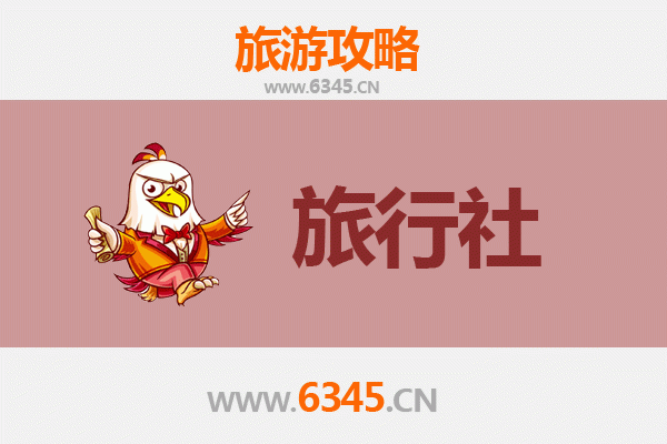 天津武清本地旅行社推荐及深度游玩攻略