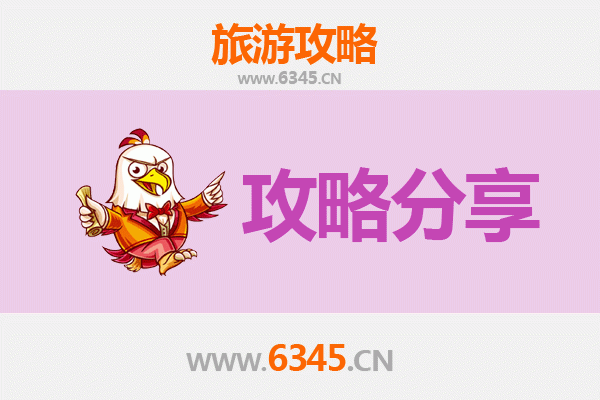 天津武清出发湄洲岛旅游攻略：跟团 vs 自由行全解析