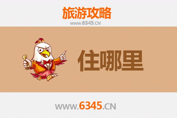 天津武清旅游民宿全攻略：沉浸式体验京津花园的慢生活